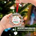 7 x Our First Christmas Ornament 2024, Metal Just Married Christmas Ornament as Mr and Mrs, 1st Christmas Married Ornament 2024, Bridal Shower Wedding Newlywed Gifts for Couple for Christmas Decoration