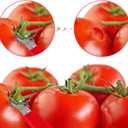 2 x 4pcs Tomato Strawberry Corer Tool, Strawberry Huller Stem Remover Fruit Vegetable Skin Peeler Seeder Core Removing Tools with Ergonomic Handles Kitchen Gadget for Canning Strawberries Tomatoes