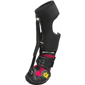 Strap-On Drop Foot Brace (No Knuckling Boot Brace) for Dogs Corrective Dog Shoes to Safely Lift Toes for Foot Issues, Arthritis, and improving Walking gait in Dogs, Patent Pending(XS)