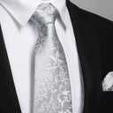 Enlision Mens Ties Solid Color Satin Necktie Ties for men Handkerchief Cufflinks Pocket Squares for Wedding (S1-light Grey Paisley)