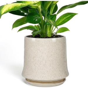 11 Inch Ceramic Planter Pot with Saucer Drainage Leak-Proof Mesh,Flower Pots for Lavender with Gardening Gloves,Ceramic Planter for Orchid(Silk White)