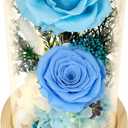 Flowers, Roses, GiftsFlowers Bouquet & Forever Flowers for Delivery Prime - Preserved Flowers Birthday Gift for Women, Valentine's, Mother's Day, Christmas Lasting Fresh Roses, Battery Included (Blue-Rose-led)