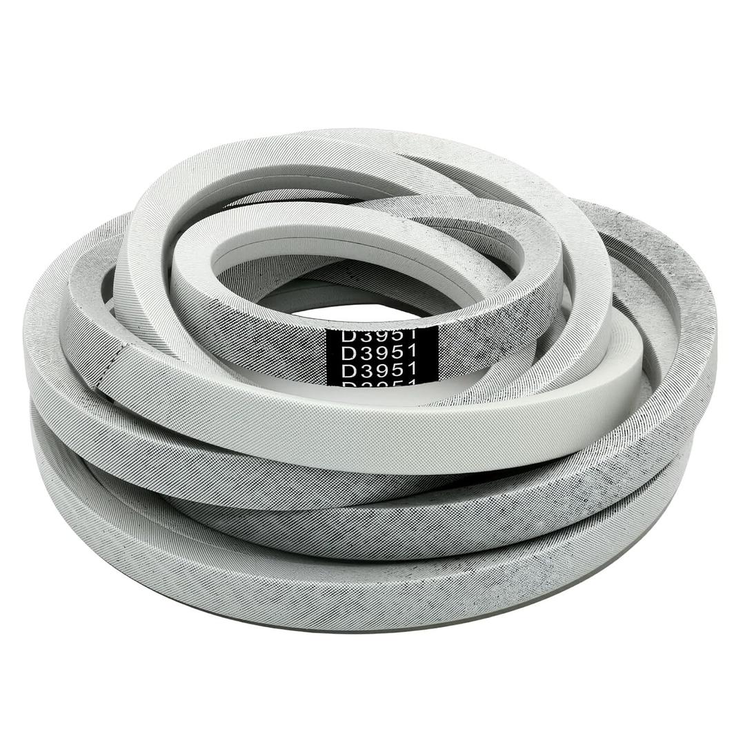D3951 Mower Deck Belt Fit for Country Clipper Avenue A100 A105 Boulevard B200 B205 for Challenger D500 XLT 60" Zero-Turn Mowers, 169" x 5/8" Lawn Mower V Belt