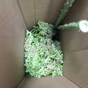 Maysing 4 Pcs Artificial Skimmia Stem with Leaves 22.4 Inch Realistic Long Stem Fake Flowers for Home Wedding Vase Table Centerpiece Floral Arrangement Bouquet Decorations(Green,Classic)