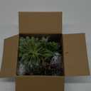 Winlyn 19 Pcs Assorted Artificial Succulents Plants Unpotted Small Green Hanging Succulent Aloe Fake Cacti Succulents Bulk for Succulent Garden Centerpiece Wreath Arrangement Indoor Outdoor Home Decor