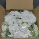 White Flowers Balls for Centerpieces: 2 PCS 14.2" Diam Flower Centerpieces for Tables in Wedding Reception Decorations Arrangement for Party Celebration Planners