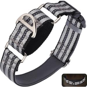 Reflective Martingale Collar for Large Dogs with Quick Release Buckle Adjustable Training, Walking, Hunting No Slip Collars,(Sliver L)
