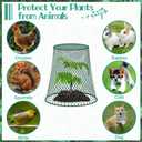 5 Packs 9"x9" Garden Cloches for Plants, Plant Protectors from Animals, Plant Cages for Outdoor Plants, Plant Covers from Animals,Chicken Wire Cloche with Stakes & Labels for Protect Plants,Vegetables
