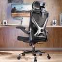 Black Ergonomic Office Chair: Mesh Desk Chair Comfy with Headrest& Lumbar, Pack of 1