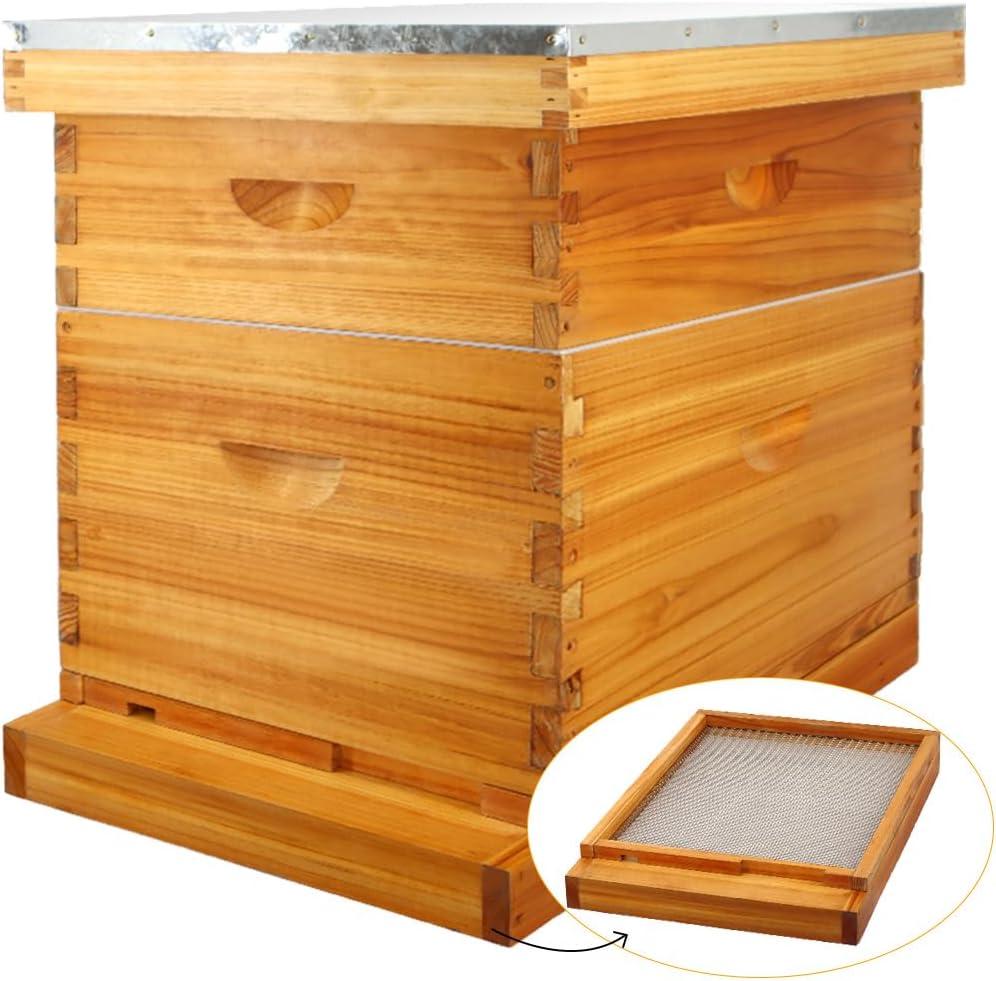 MayBee 10 Frame Screened Bottom Board Beehive Dipped in 100% Beeswax, Bee Hives Kit Includes 1 Deep Boxes & 1 Medium Box with Beehive Frames and Wax Foundations. Preferred for Summer