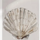 Vintage Scallop Shell New View Coastal Wall Art Featuring a Seashell Print in a Wooden Frame.