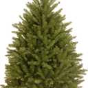 National Tree Company Artificial Mini Christmas Tree, Green, Dunhill Fir, Includes Stand, 4 Feet