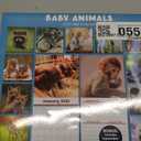Turner Licensing, Baby Animals Photo 2026 Wall Calendar