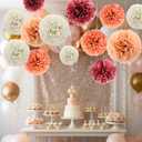 Feifeiya 13 Pcs Boho Blush Pink Tissue Paper Pom Poms Party Decorations for Birthday Party Baby Shower Wedding Engagement Bridal Shower Spring Dots Paper Garland String Hanging Assorted Size 8" to 12"