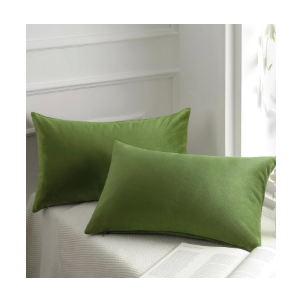 Pack of 2 Velvet Decorative Throw Decorative Pillow Cover Soft Solid Square Xmas Cushion Case for Couch Green 12 x 20 inches