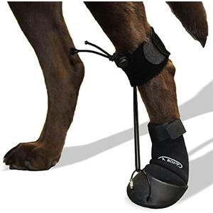 WALKABOUT Toe'sUP Anti-Knuckling Aid | Supportive 2-in-1 Dog Boot and Paracord Solution for Paw and Pad Protection | Rapid Pain Relief & Corrective Leg Support for Scraping Dragging Injuries (Medium)