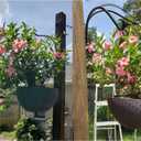 Maosen 16 Inch Swivel Plant Hangers Outdoor - 2 Pack Black Iron Plant Hanging Hook Bracket for Flowers Baskets Planter Pots Bird Feeder Lanterns Wind Chimes