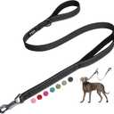 Fida 5 FT Heavy Duty Dog Leash with 2 Comfortable Padded Handles, Traffic Handle & Advanced Easy Snap Hook, Reflective Walking Lead for Large, Medium & Small Breed Dogs, Black (5 Feet (Pack of 1))