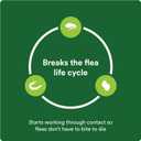 Advecta Plus Topical Large Cat Flea Treatment for Cats and Kittens, Flea Prevention and Control, Fast-Acting Waterproof Drops, 2-Month Supply (Large Cats (Over 9 lbs) 2 Dose)