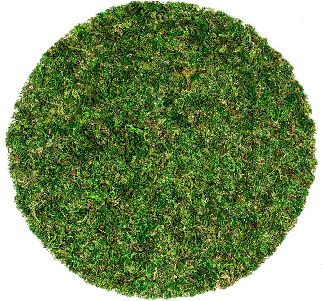 SuperMoss (26315) Moss Soil Toppers (Place Mats), Fresh Green, 12" (3 units) SuperMoss (26315) Moss Soil Toppers (Place Mats), Fresh Green, 12" (3 units)