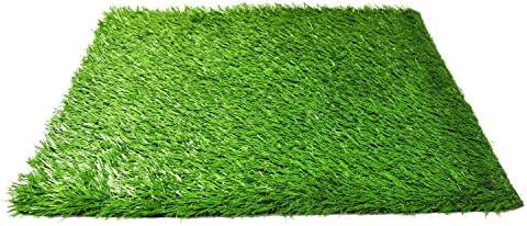 Downtown Pet Supply Replacement Dog Potty Grass, 12 x 36 - Washable Synthetic Grass Pad for Dogs, Suitable as Indoor or Outdoor Grass Pee Turf - Dog Housebreaking Supplies