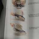 Sportneer Crampons： Ice Cleats for Shoes and Boots with 28 Spikes - Traction Slip-on Stretch Footwear for Walking and Shoveling on Ice and Snow, L