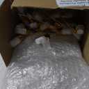 Roshtia 30 Pcs 2 oz/ 60 ml Clear Glass Spray Bottle Refillable Perfume Atomizer Clear Decorative Empty Bottles with Fine Mist Sprayer Pump for Face Body Travel