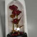 Rose in Glass Dome with LED Lights in Gift Box — Mothers Day Gifts for Mom Grandma, Birthday Gifts for Women, Lighted Glass Rose — Romantic Forever Flowers, Battery Powered Home Decoration (Red)