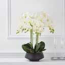 Artificial Phalaenopsis 6 Pcs Artificial Flowers Fake Orchid Flowers Stem Plants with 2 Pcs Leaves for Dcor (White)