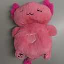 Soft Plush Raccoon Stuffed Animal Toy for Kids - Huggable & Safe ASTM F963-17 Certified, Interactive Light Up & Sound Toy, Perfect Gift for Christmas Birthday Valentine's Day