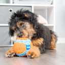 Chuckit! Indoor Fetch Ball Dog Toy for Dogs - Interactive Dog Toys for Boredom, 4.75 Inch, Orange and Blue
