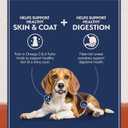 Natural Balance Limited Ingredient, Dog Food, Salmon & Sweet Potato, 12 lb (EXP 05/05/27)