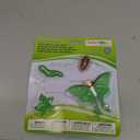 Safari Ltd. Life Cycle of a Luna Moth - Realistic Educational Toy Figurines - Miniature Insect Lifecycle Collection for Boys, Girls & Kids Age 4+