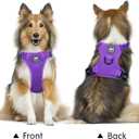 Poypet Vest L