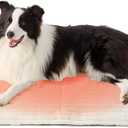 Bedsure Self Warming Dog Bed for Large Dogs, Self Heating Dog Crate Pad, Thermal Extra Warm Puppy Mat Indoor, Non-Slip & Washable, Not Electric, 35" x 23", White