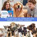 Giardia Test Kit for Cats and Dogs 2pc