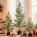 3pcs 2ft 3ft 4ft Artificial Norfolk Pine Christmas Tree with Moss Ball Base