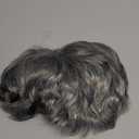 Kaneles Mens Grey Short Wig Synthetic Replacement Costume Halloween Soft Layered Natural Hair Male Wigs (Gray)