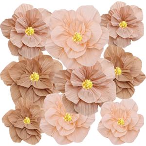 9 Pcs Tissue Paper Flowers, Crepe Paper Floral Decoration for Baby Shower Bridal Wedding Birthday Party Backdrop Classroom Nursery Craft Wall Decorations (Pink)