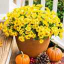 Daisy Artificial Flowers for Outdoors Fall Autumn Decoration, 6 Bundles Fake Mums Yellow Silk Flowers for Outside Look Real UV Resistant Faux Flowers Plants for Planter Front Door Home Indoor Porch