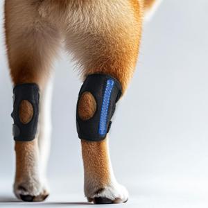 Dog Knee Brace for Rear Leg Torn ACL, Canine Rear Hock Joint Support, Joint Injury and Sprain Protection(1 Pair Size XS)