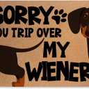 Funny Wiener Dog Door Mat 18x30 Inch, Faux Coco Coir Doormat with Non-Slip PVC Backing, Cute Dachshund Printed Welcome Mat for Outdoor Indoor Entryway Porch Home, Dog Lover Gifts for Women 1