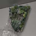 40 Pcs 4 Kinds Artificial Eucalyptus Leaves Stems Bulk, Fake Eucalyptus Greenery Picks, Mixed Faux Green Stems Leaves Decoration for Wedding Vase Bouquet Floral Arrangement