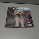 4 x windrio 2026 Wall Calendar, Calendar 2026, July 2025 - December 2026, Wall Calendar Maltese, 12" x 24" Opened,Full Page Months Thick & Sturdy Paper for Calendar Organizing & Planning