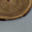 Nicunom 2 Pack Large Wood Slices for Centerpieces, 9"-10"/11"-12" Natural Wood Slabs Round Tree Slices Wooden Cheese Server, Rustic Wood Centerpieces for Wedding Table