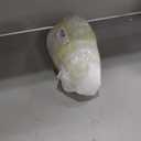 Glossy White Side Mirror Cover Caps Replacement for 2011-2015 Kia Optima K5, Directly Replace Style, Not Sticker Style