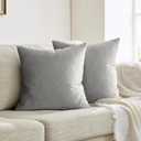 Silver Grey Velvet Pillow Covers 18x18 Pack of 2 Square Throw Pillow Covers Modern Decorative Pillows for Living Room Couch Luxury Small Pillow Cases