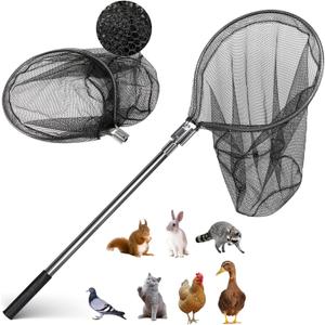 Catch Net - Small Animal Catcher for Chicken, Duck, Goose, Fish, Cat, Bird, Raccoon, Dog and Others (43"-78" Handle with 20" Net Opening) (Black)