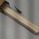 Yoga Mat Holder Wall Mount - Stylish Wood Rack for Foam Roller & Fitness Accessories - Wood Shelf - 3/6/9 Layers - Save Space & Organize Your Home Gym(Size:3 Layer 55cm)