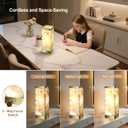 Scenekoy Alabaster Rechargeable Table Lamp for Living Room Bedroom Nightstand, Portable Battery Operated LED Bedside Lamp, Cordless Night Light for Home Office Dorm Desk Decor (Bulb Included)